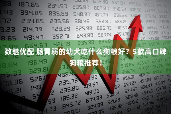 数魅优配 肠胃弱的幼犬吃什么狗粮好？5款高口碑狗粮推荐！