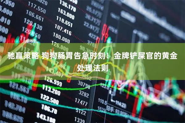 驰赢策略 狗狗肠胃告急时刻！金牌铲屎官的黄金处理法则