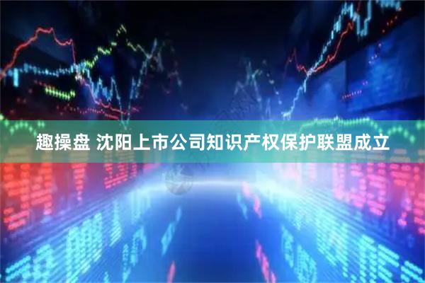 趣操盘 沈阳上市公司知识产权保护联盟成立