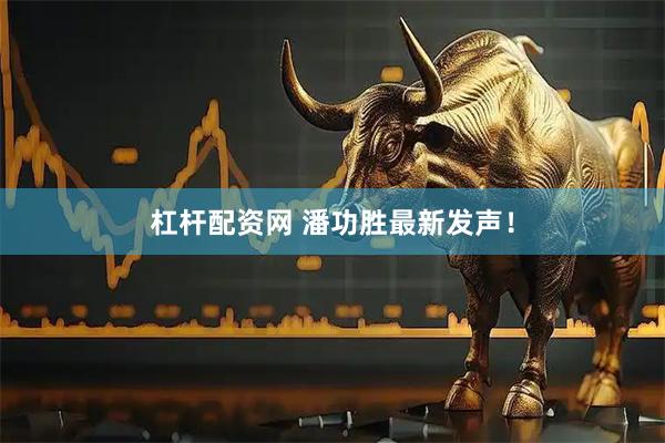 杠杆配资网 潘功胜最新发声！