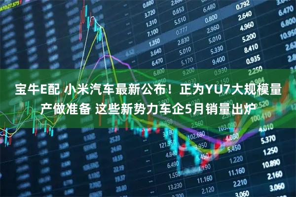 宝牛E配 小米汽车最新公布！正为YU7大规模量产做准备 这些新势力车企5月销量出炉
