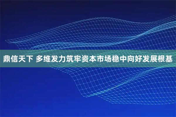 鼎信天下 多维发力筑牢资本市场稳中向好发展根基