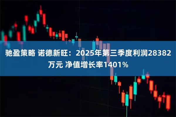 驰盈策略 诺德新旺：2025年第三季度利润28382万元 净值增长率1401%