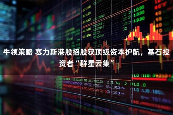 牛领策略 赛力斯港股招股获顶级资本护航,基石投资者“群星云集”