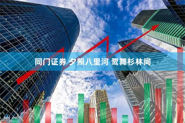 同门证券 夕照八里河 鹭舞杉林间