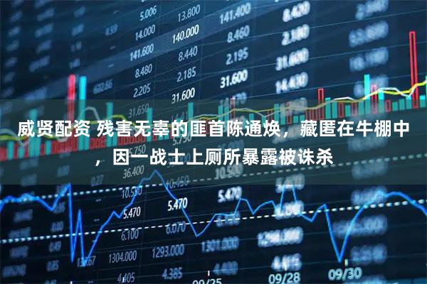 威贤配资 残害无辜的匪首陈通焕,藏匿在牛棚中,因一战士上厕所暴露被诛杀